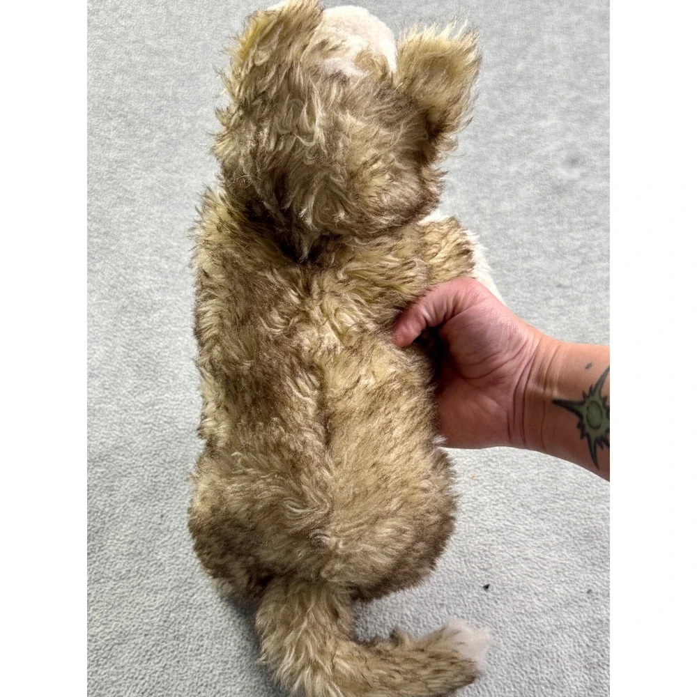 Folkmanis Wolf Plush Stuffed Animal Hand Puppet Blue Eyes Brown Cream Faux Fur